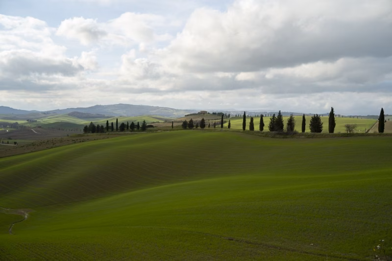 Tuscany 2022