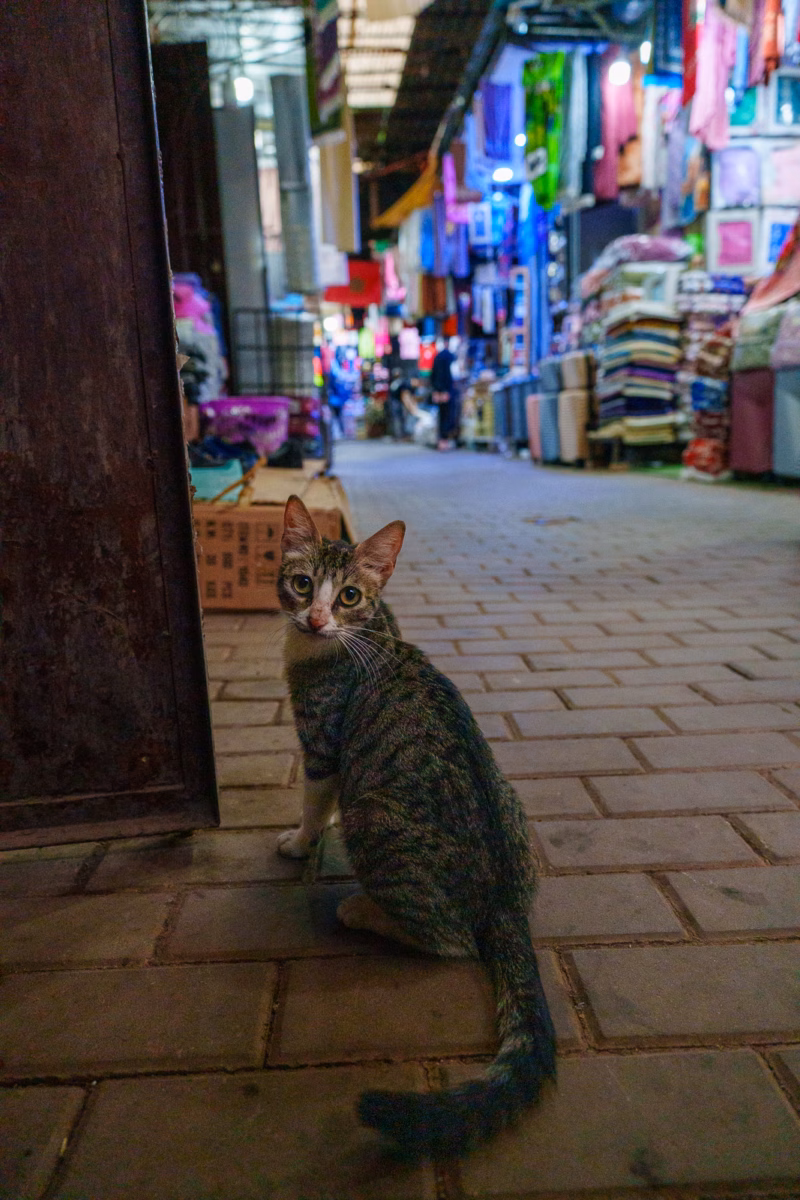 Marrakech – 2026